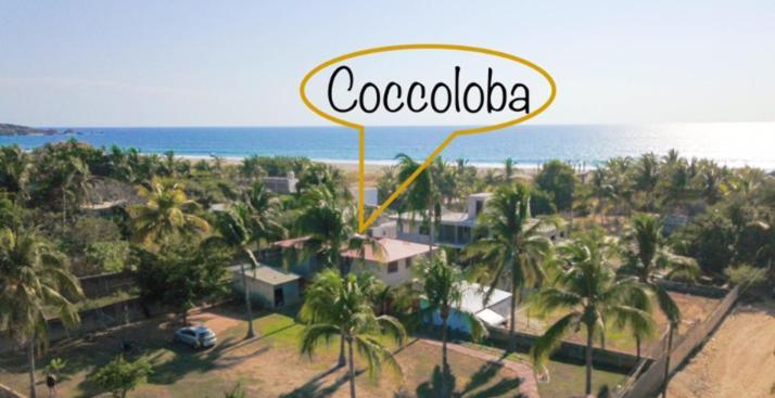 Coccoloba Guest House Puerto Escondido  Eksteriør bilde